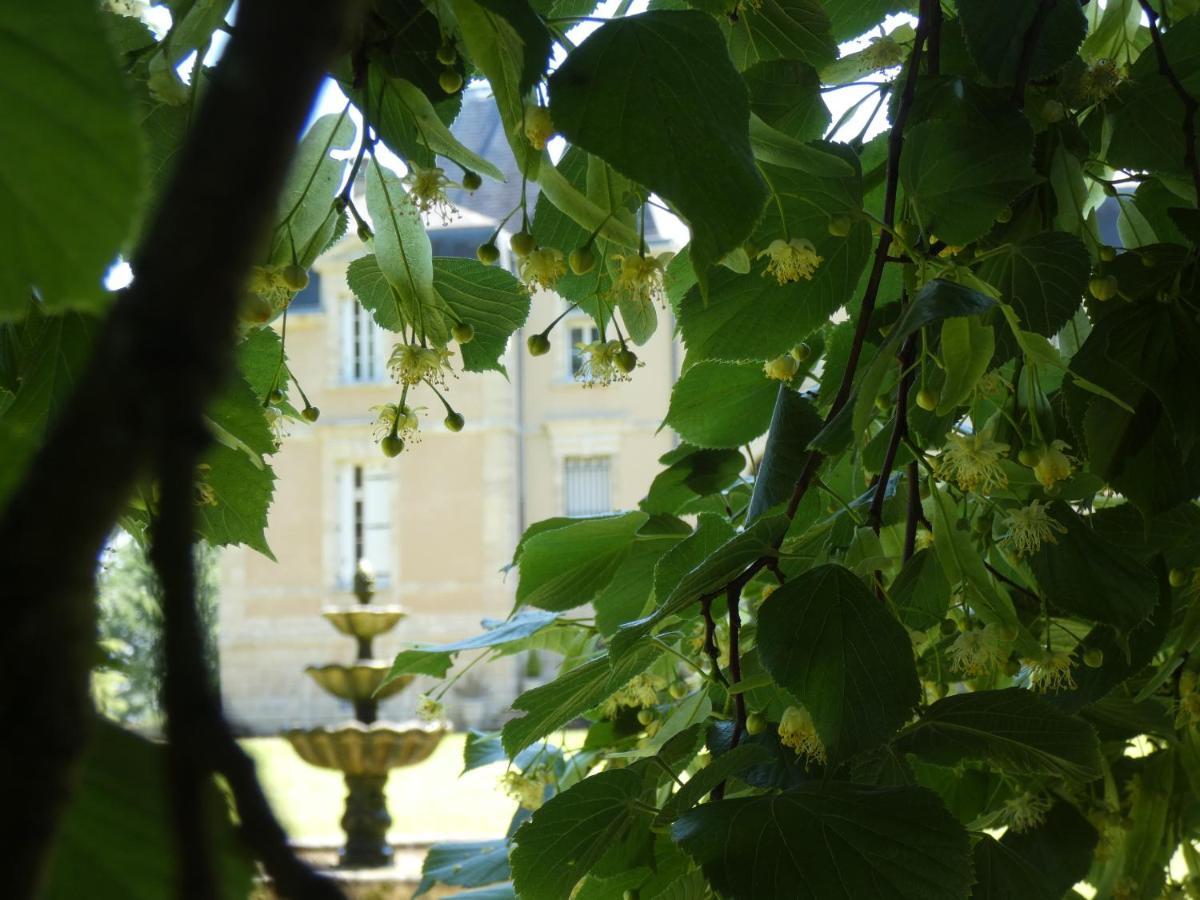 Hotel Château Marith - Etablissement climatisé avec Piscine à Clairac  Extérieur photo