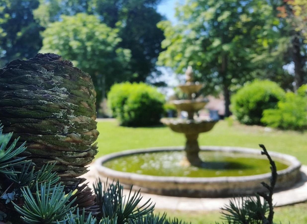 Hotel Château Marith - Etablissement climatisé avec Piscine à Clairac  Extérieur photo